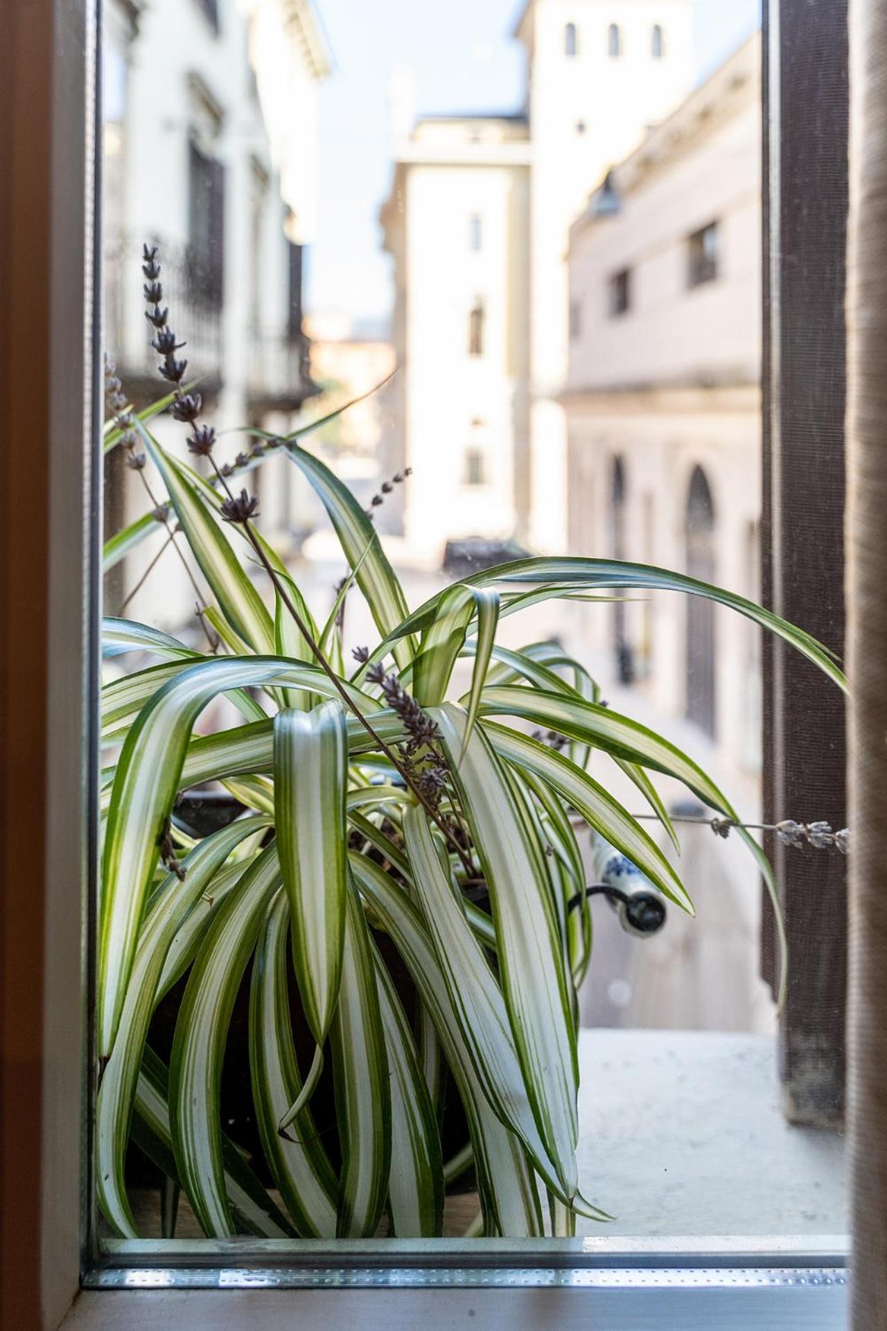 Dependance Cara Giulietta Apartment Verona Ngoại thất bức ảnh